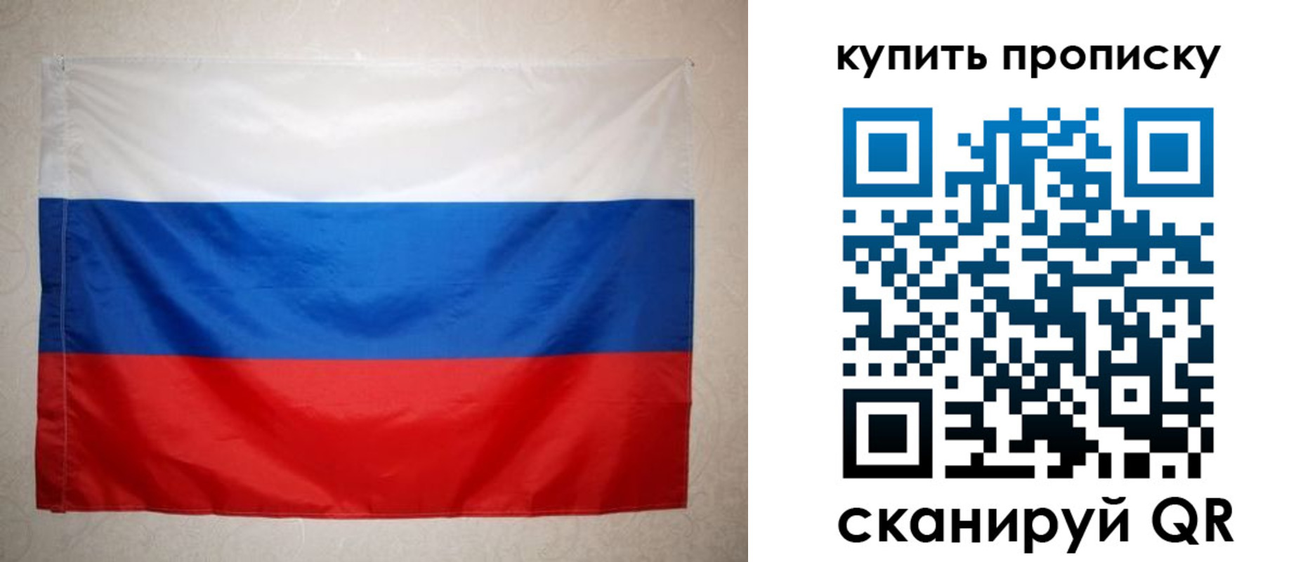 пропишу в квартире в Калининграде